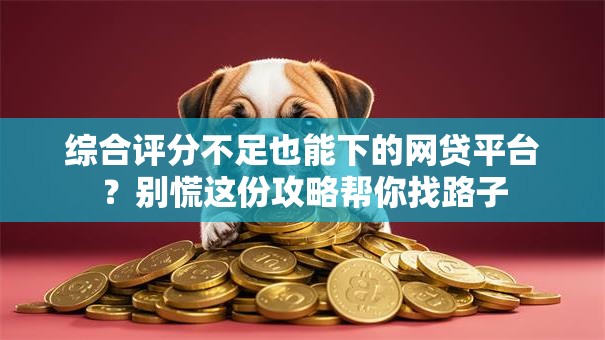 综合评分不足也能下的网贷平台？别慌这份攻略帮你找路子
