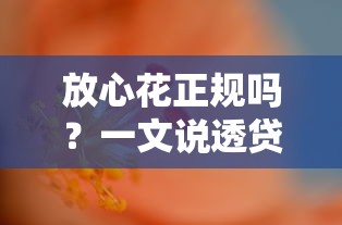 放心花正规吗？一文说透贷款平台靠谱性避雷指南