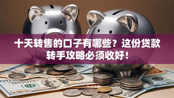 十天转售的口子有哪些？这份贷款转手攻略必须收好！