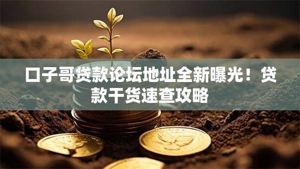 口子哥贷款论坛地址全新曝光！贷款干货速查攻略