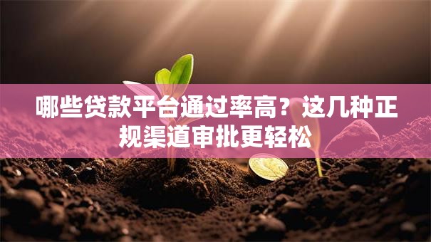 哪些贷款平台通过率高？这几种正规渠道审批更轻松
