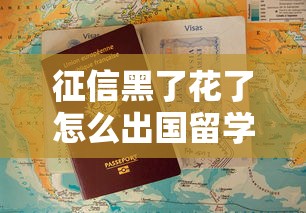 征信黑了花了怎么出国留学？留学贷款申请全攻略解析