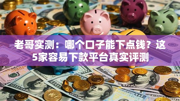 老哥实测：哪个口子能下点钱？这5家容易下款平台真实评测