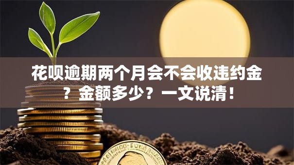 花呗逾期两个月会不会收违约金？金额多少？一文说清！