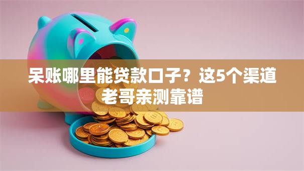 呆账哪里能贷款口子？这5个渠道老哥亲测靠谱