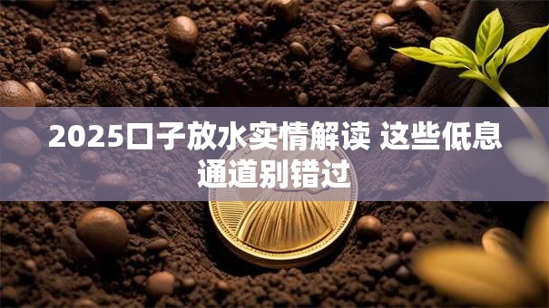 2025口子放水实情解读 这些低息通道别错过