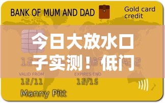今日大放水口子实测！低门槛贷款平台哪家额度给得最爽？