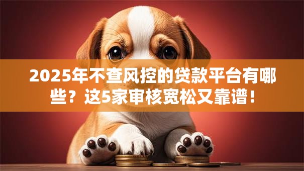 2025年不查风控的贷款平台有哪些？这5家审核宽松又靠谱！