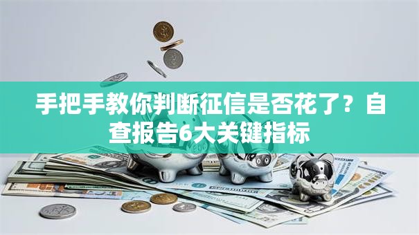 手把手教你判断征信是否花了？自查报告6大关键指标