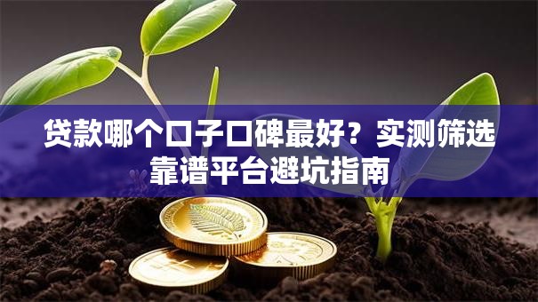 贷款哪个口子口碑最好？实测筛选靠谱平台避坑指南