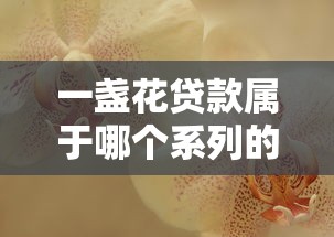 一盏花贷款属于哪个系列的口子？产品特点深度解析