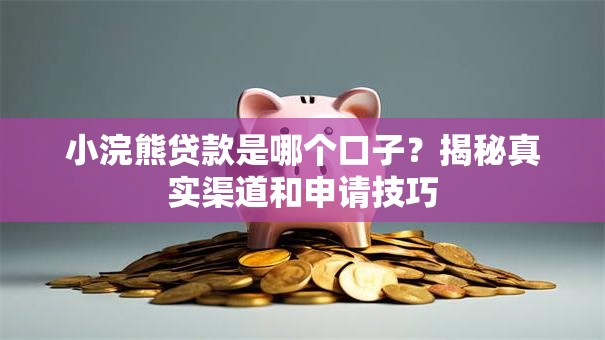 小浣熊贷款是哪个口子？揭秘真实渠道和申请技巧