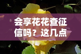 会享花花查征信吗？这几点真相你必须知道！