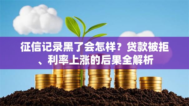 征信记录黑了会怎样？贷款被拒、利率上涨的后果全解析