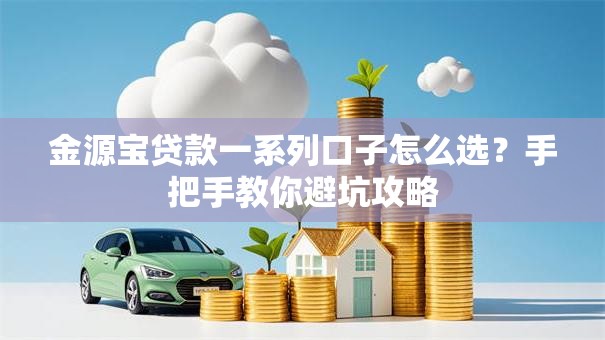 金源宝贷款一系列口子怎么选？手把手教你避坑攻略