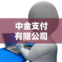 中金支付有限公司是哪个网贷平台？深度解析其贷款业务与合规性