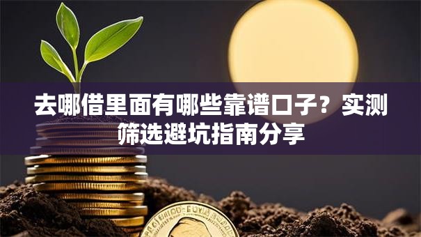 去哪借里面有哪些靠谱口子？实测筛选避坑指南分享