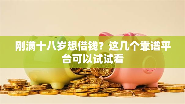 刚满十八岁想借钱？这几个靠谱平台可以试试看