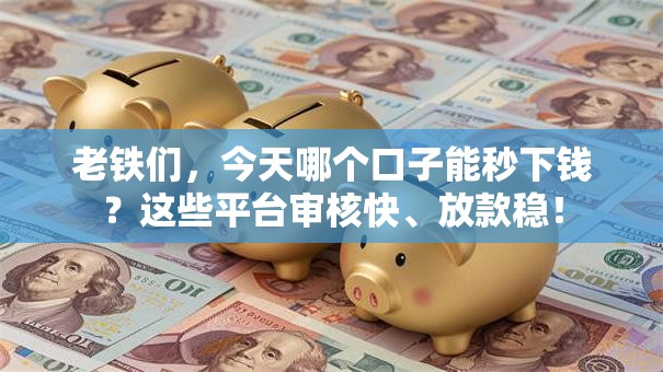 老铁们，今天哪个口子能秒下钱？这些平台审核快、放款稳！