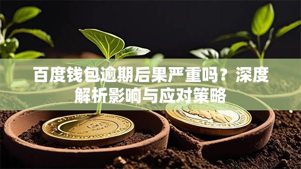 百度钱包逾期后果严重吗？深度解析影响与应对策略