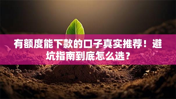 有额度能下款的口子真实推荐！避坑指南到底怎么选？