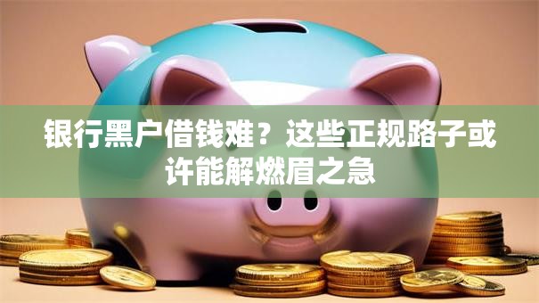 银行黑户借钱难？这些正规路子或许能解燃眉之急