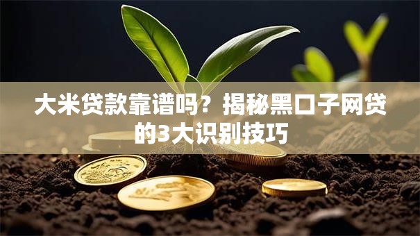 大米贷款靠谱吗？揭秘黑口子网贷的3大识别技巧