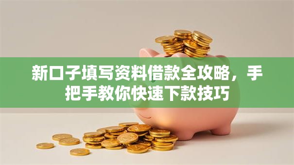 新口子填写资料借款全攻略，手把手教你快速下款技巧
