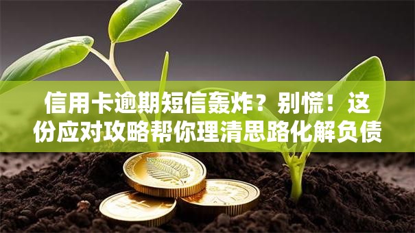信用卡逾期短信轰炸？别慌！这份应对攻略帮你理清思路化解负债危机