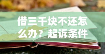 借三千块不还怎么办？起诉条件和法律风险全解析