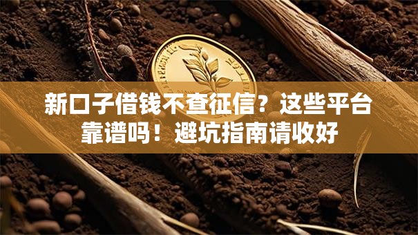 新口子借钱不查征信？这些平台靠谱吗！避坑指南请收好