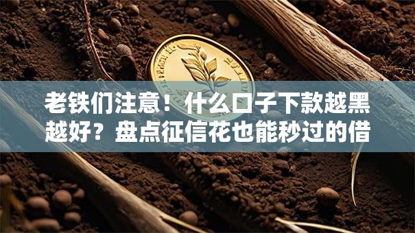 老铁们注意！什么口子下款越黑越好？盘点征信花也能秒过的借款渠道攻略