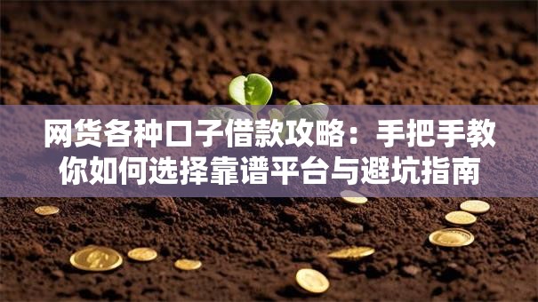 网货各种口子借款攻略：手把手教你如何选择靠谱平台与避坑指南