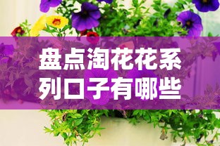 盘点淘花花系列口子有哪些？实测这几个平台最靠谱