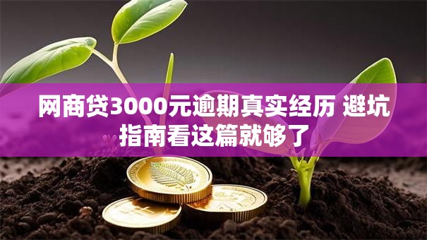 网商贷3000元逾期真实经历 避坑指南看这篇就够了