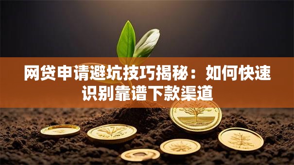 网贷申请避坑技巧揭秘：如何快速识别靠谱下款渠道