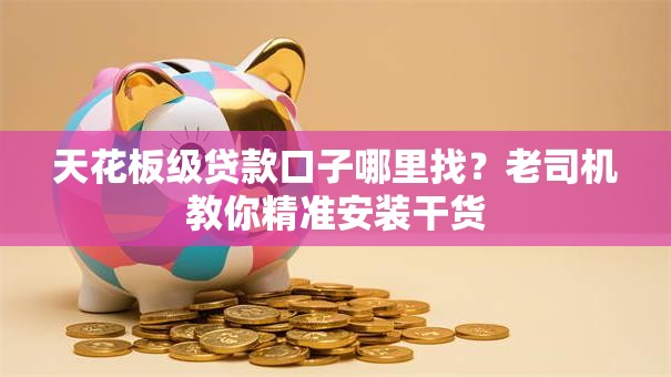 天花板级贷款口子哪里找？老司机教你精准安装干货