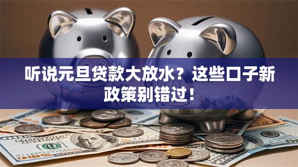 听说元旦贷款大放水？这些口子新政策别错过！