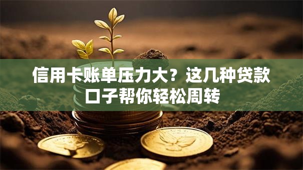 信用卡账单压力大？这几种贷款口子帮你轻松周转