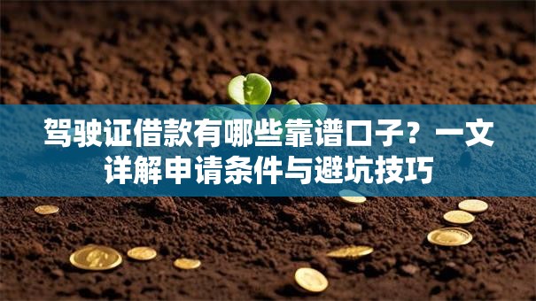 驾驶证借款有哪些靠谱口子？一文详解申请条件与避坑技巧