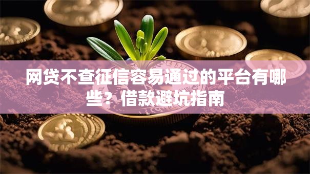 网贷不查征信容易通过的平台有哪些？借款避坑指南