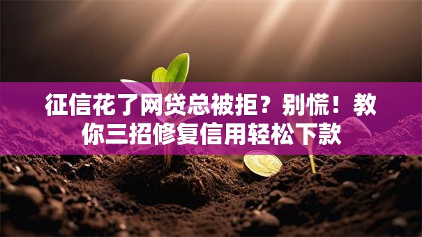 征信花了网贷总被拒？别慌！教你三招修复信用轻松下款