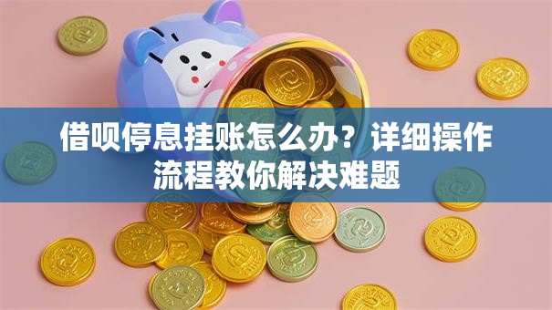 借呗停息挂账怎么办？详细操作流程教你解决难题