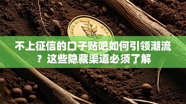 不上征信的口子贴吧如何引领潮流？这些隐藏渠道必须了解