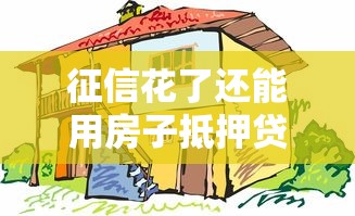 征信花了还能用房子抵押贷款吗？这些细节必须提前了解