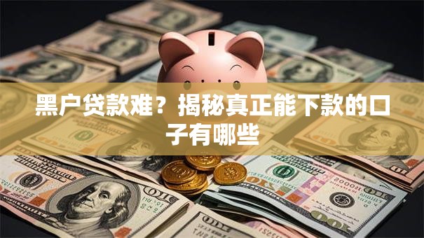 黑户贷款难？揭秘真正能下款的口子有哪些