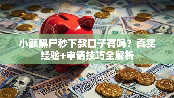 小额黑户秒下款口子有吗？真实经验+申请技巧全解析