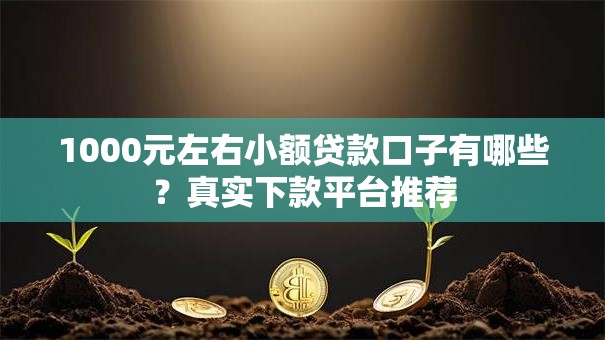 1000元左右小额贷款口子有哪些？真实下款平台推荐