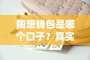 陶想钱包是哪个口子？真实评测+申请攻略速看