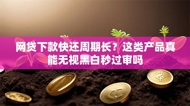 网贷下款快还周期长？这类产品真能无视黑白秒过审吗